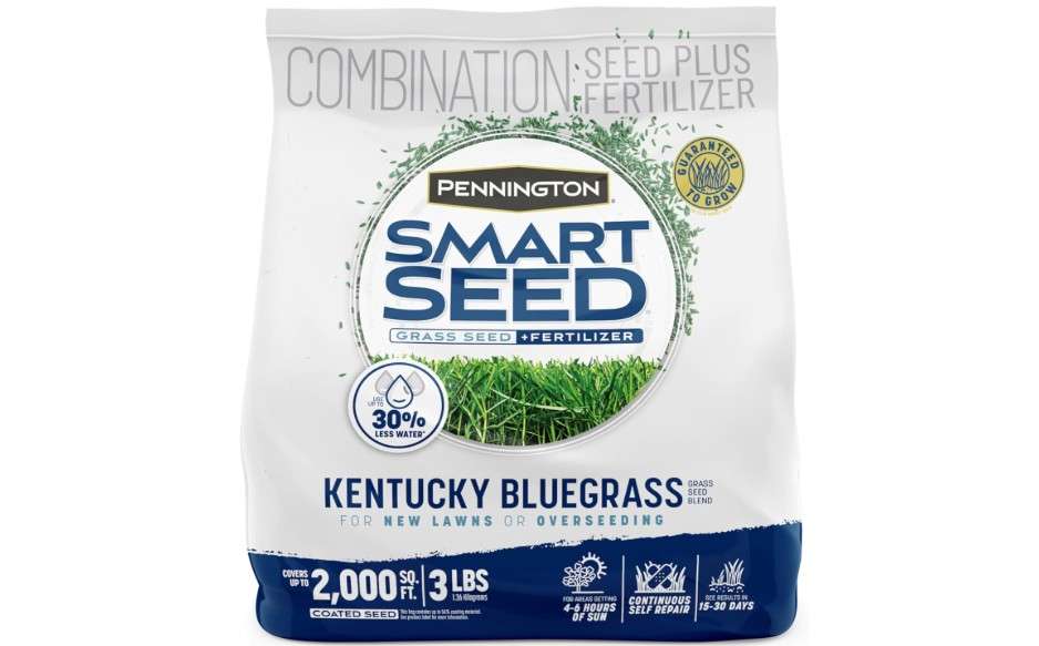 Pennington Smart Seed Kentucky Blue Grass Mix 3 lb