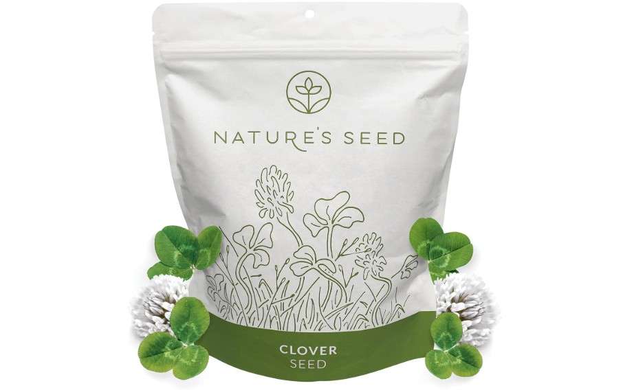 Nature’s Seed White Dutch Clover Seed, Drought Tolerant Ground Cover, Low Maintenance Garden Yard Lawn Alternative, 2000 sq ft
