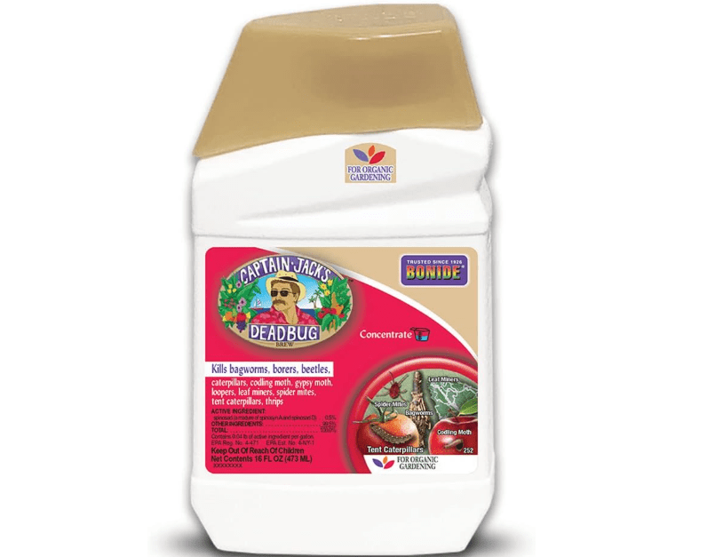 
Bonide Captain Jack's Deadbug Brew, 16 oz Concentrate Outdoor Insecticide and Mite Killer for Organic Gardening