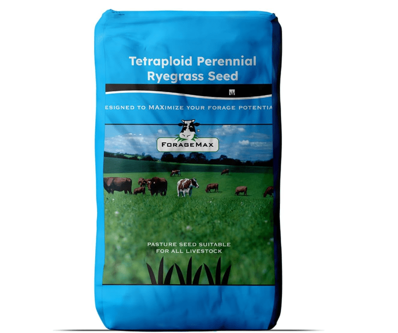 
Outsidepride Ryegrass Seeds - 50 lb. Perennial, Hardy & Fast-Growing, Cover Crop Seeds for Planting Glossy Dark Green Grass Leaves