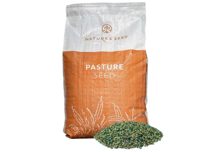 Nature’s Seed Buffalo Grass Seed, Drought Tolerant, for Lawn, Garden, Yard, 5 lbs