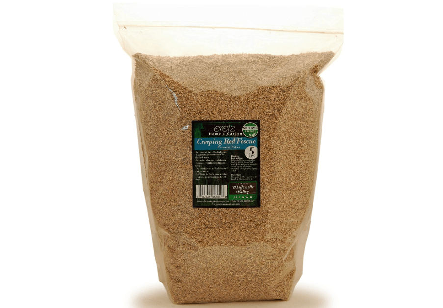 Creeping Red Fine Fescue Seed by Eretz (5lb) - Choose Size! Willamette Valley Oregon Grown, No Fillers, No Weed or Other Crop Seeds, Premium Shade Grass Seed