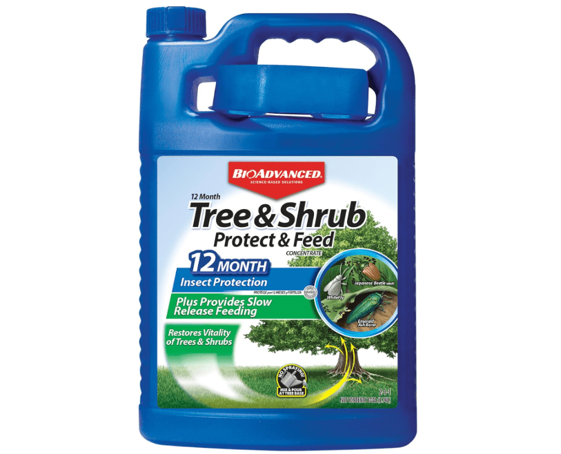 
BioAdvanced 12 Month Tree and Shrub Protect and Feed, Concentrate, 1 Gal, Insect Killer and Fertilizer & Plant Food