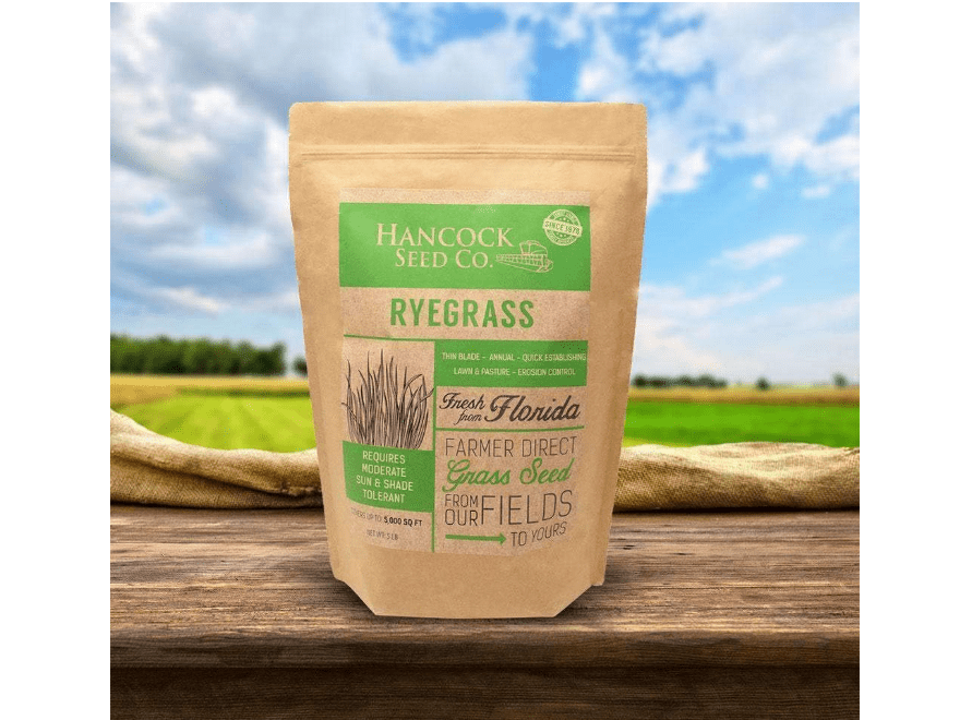 Hancock's Pasture Ryegrass Seed - 50 lbs.