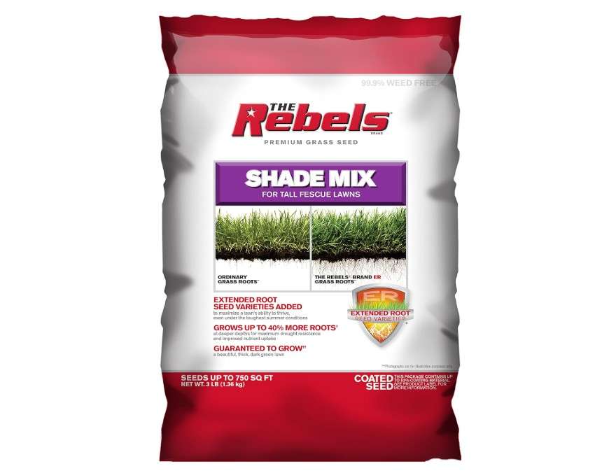 Pennington Rebel Shade Tall Fescue Mix Powder Coated Seed, 3 lb. (100526878)