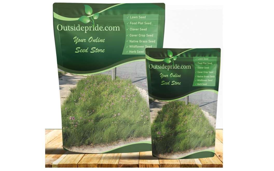 Outsidepride 25 lb Xeriscape Flowering Lawn Seed Mix for Low Maintenance and Drought Tolerance
