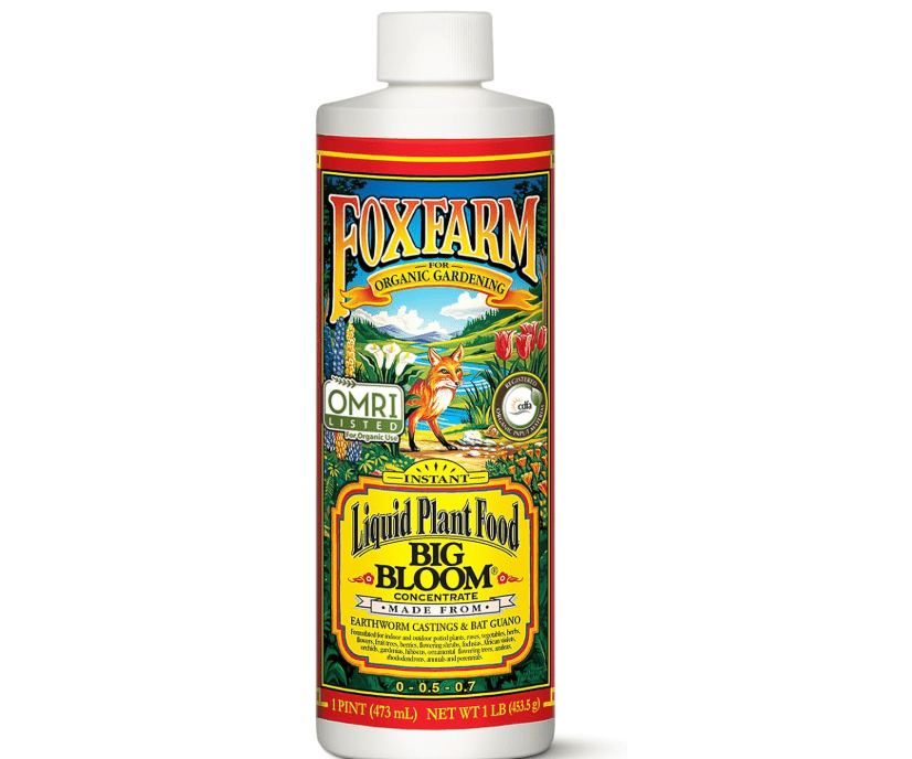  FoxFarm - Big Bloom Plant Food, Liquid Fertilizer Concentrate for Flowers, Fruits, and Vegetables, All Purpose Plant Fertilizer for Indoor & Outdoor