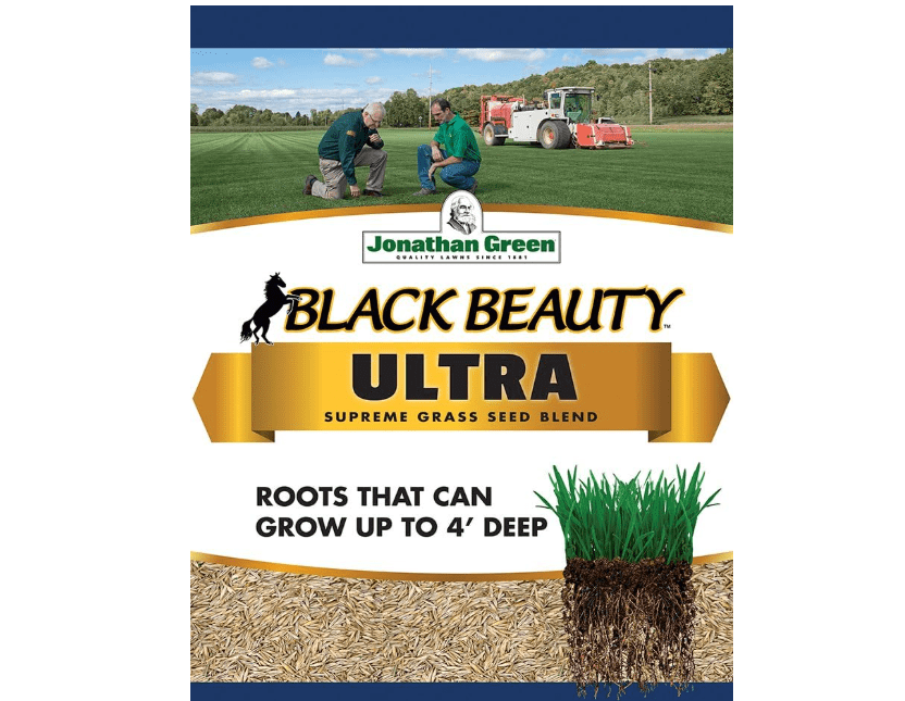 Jonathan Green Black Beauty Ultra with Texas Bluegrass (7 lb Bag)