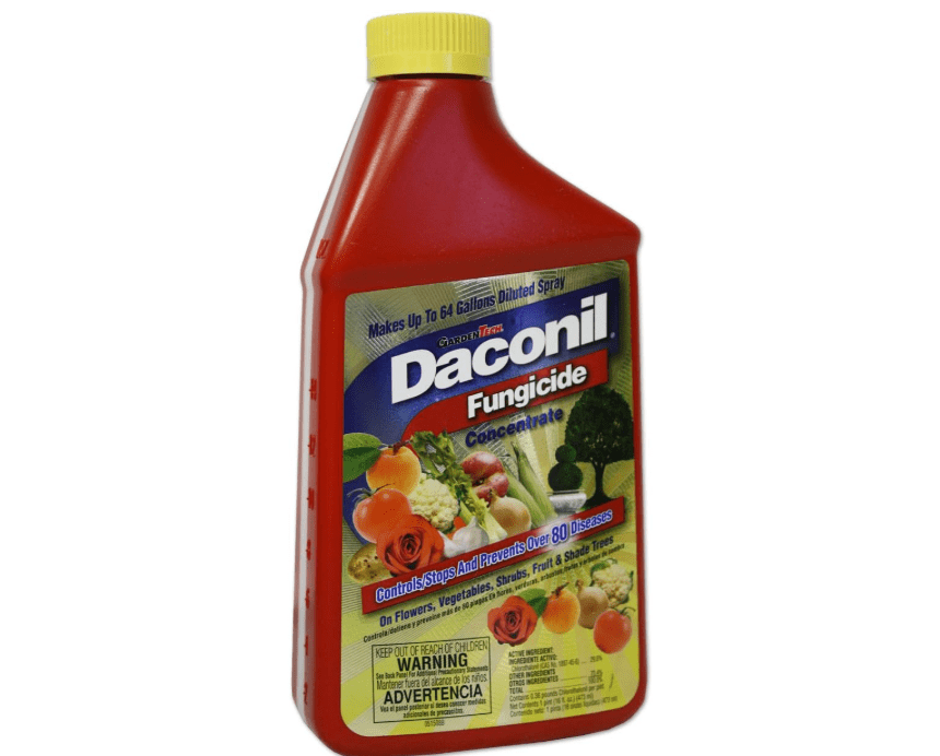 
Daconil® Fungicide Concentrate for Insects 16 oz. - 100523634