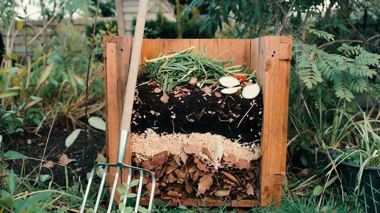 Wooden compost bin in a backyard filled with green and brown materials for homemade planting compost, surrounded by greenery.