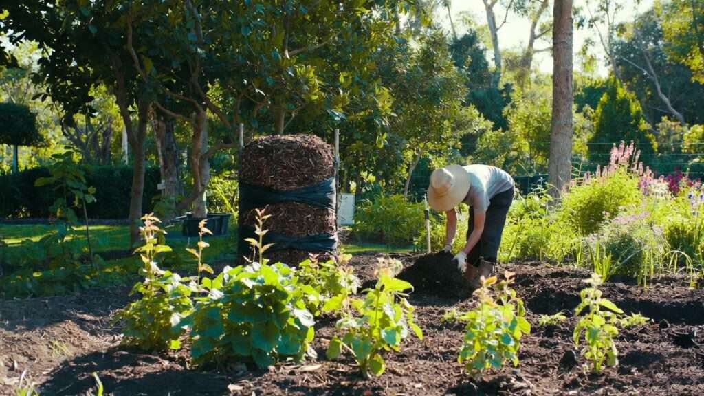 planting compost