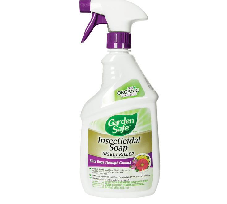 Garden Safe Insecticidal Soap (24 oz Ready-to-Use)
