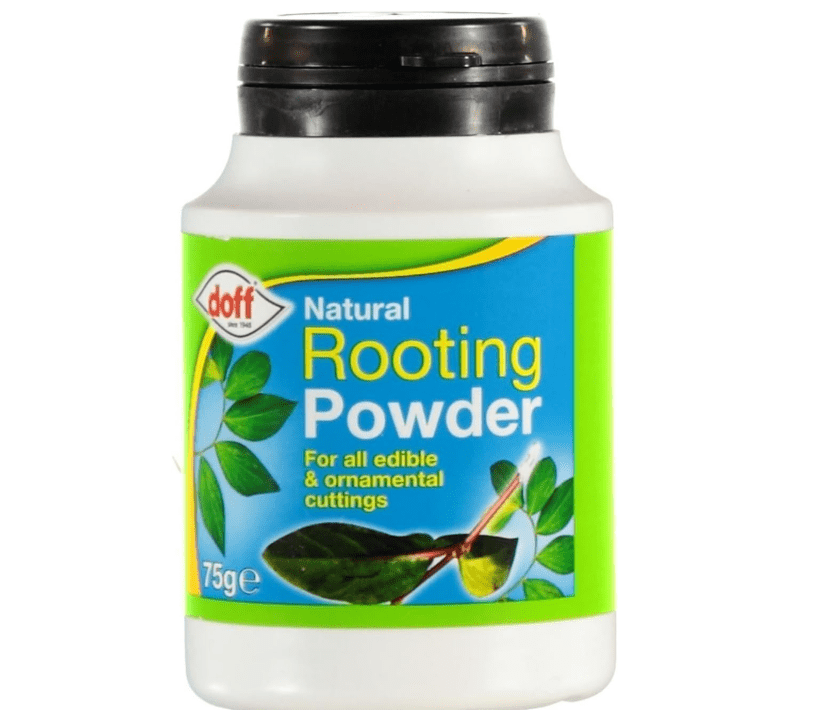 
Doff Hormone Rooting Powder Plant and Cuttings 75g Dibber Pack Rootings Power