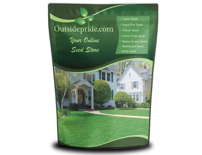 Outsidepride Fireball & Hattrick Rye Grass Seed Blend - 10 Lbs. 