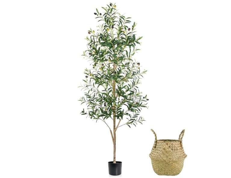 Caxchiling Faux Olive Tree 6FT, Artificial Potted Tree with Planter, Silk Plants Indoor Outdoor, Lifelike Olive Plants with Natural Wood Trunk, Fruits and... 