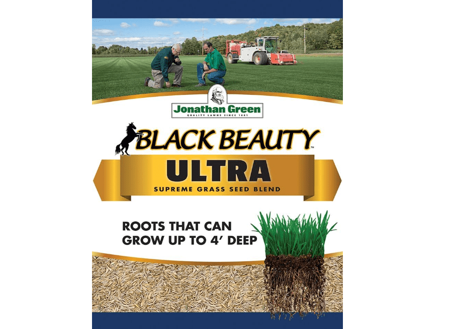 Jonathan Green 40322 Black Beauty Ultra Grass Seed, 7 lb