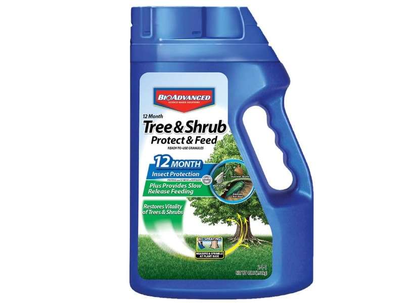 BioAdvanced 12 Month Tree and Shrub Fertilizer, Protect & Feed Granules, 4 lb, Insect Killer and Plant Food
