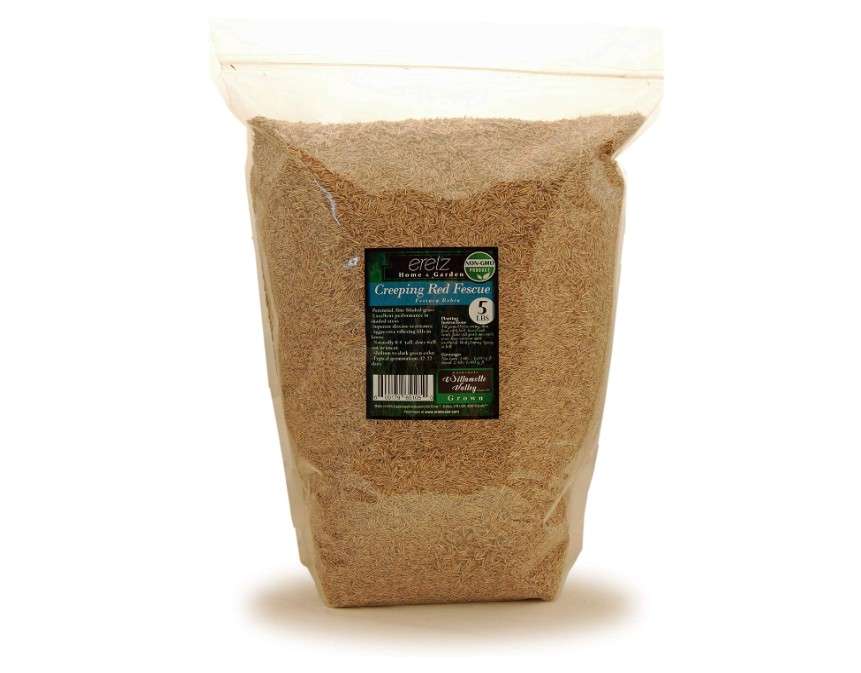 Creeping Red Fine Fescue Seed by Eretz (5lb) - Choose Size! Willamette Valley Oregon Grown, No Fillers, No Weed or Other Crop Seeds, Premium Shade Grass Seed.
