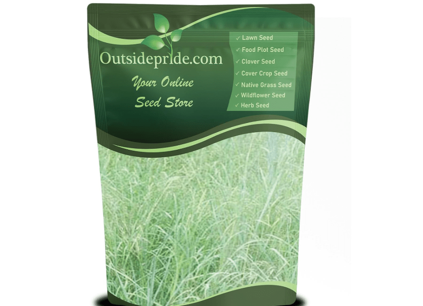 Outsidepride Southwest Native Grass Seed Mix - 5 lbs. Perennial Warm & Cool Season Grasses, Drought & Heat-Tolerant, Low Maintenance, Ideal for