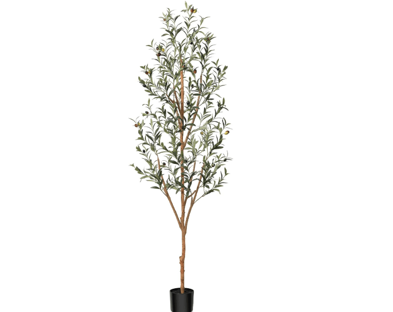 Kazeila Artificial Olive Tree 6FT Tall Faux Silk Plant for Home Office Decor Indoor Fake Potted Tree with Wood Branches and Fruits