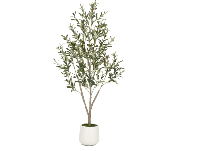 VIVATREES Olive Trees Artificial Indoor, 5FT Tall Faux Olive Tree with White Tall Planter, Artificial Plants with Natural Wood Trunk and Lifelike Fruits for