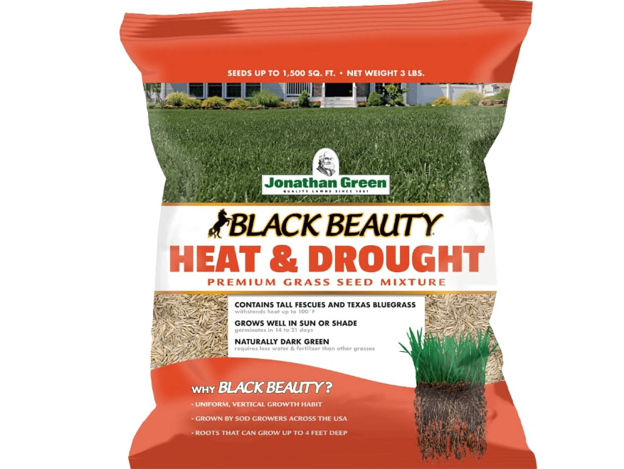 Jonathan Green (10514) Black Beauty Heat & Drought Resistant Grass Seed - Cool Season Lawn Seed