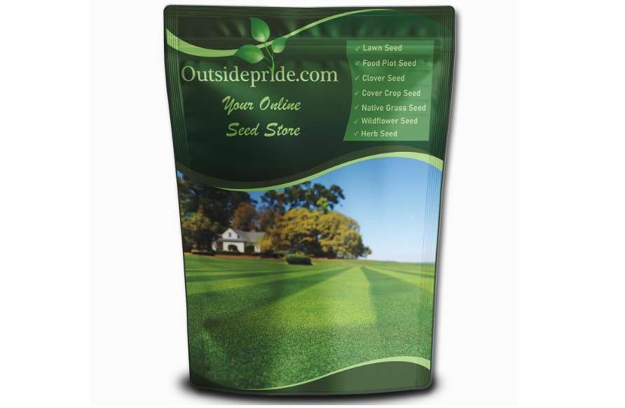 Outsidepride Maya (Blackjack II) Bermuda Grass Seed - 5 lbs Warm Season, Drought Tolerant, Fast Growing, Fine-Textured Bermuda Grass Seeds for Lawn, Parks,...
