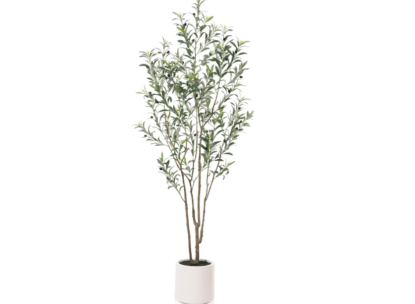 LOMANTO Artificial Olive Trees, 7 ft Tall Fake Olive Trees for Indoor, Faux Olive Silk Tree, Large Olive Plants with White Planter for Home Decor and