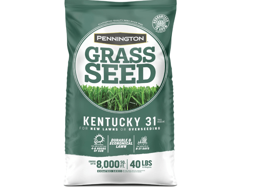 
Pennington Kentucky 31 Tall Fescue Penkoted Grass Seed 40 lbs