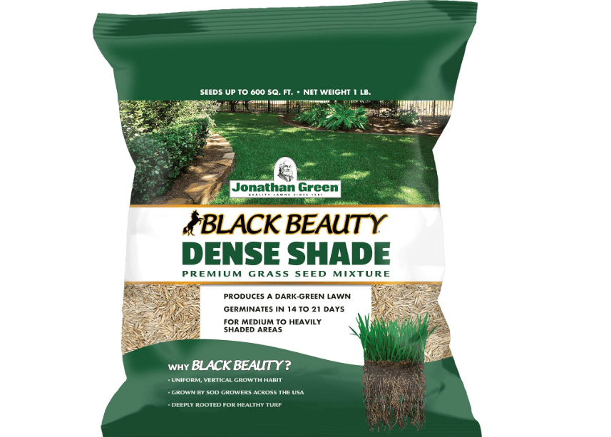 
Jonathan Green (10622) Black Beauty Dense Shade Grass Seed - Cool Season Lawn Seed (1 lb