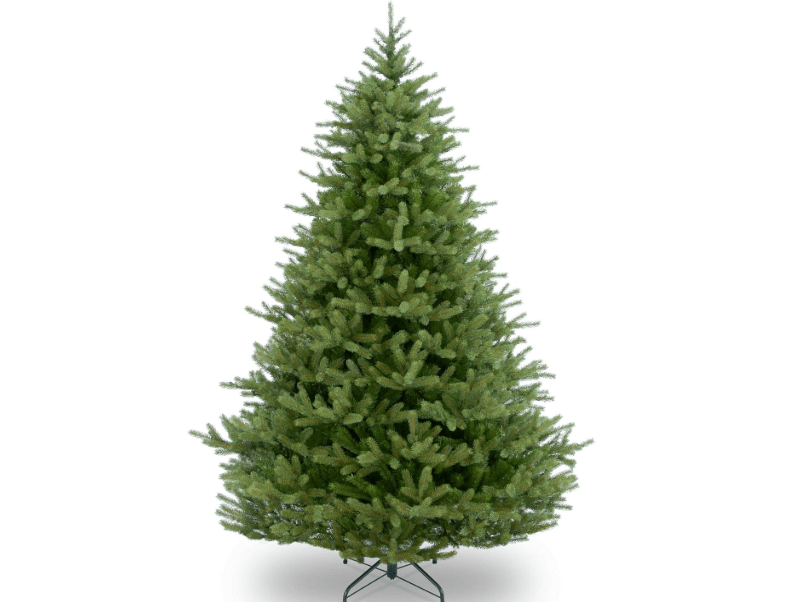 
National Tree Norway Spruce Tree, Green
