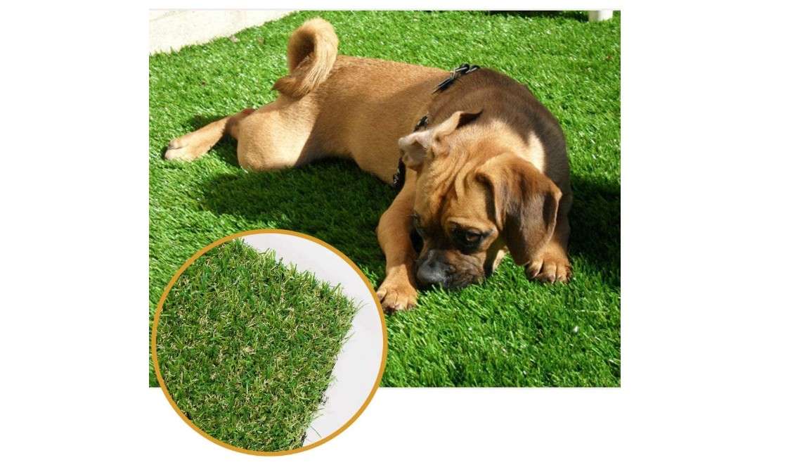 Griclner Artificial Grass Lawn Turf 10 FT x 20 FT(200 Square FT) 0.8inch Realistic Synthetic Grass Mat, Indoor Outdoor Garden Lawn Landscape for Pets,Fake...
