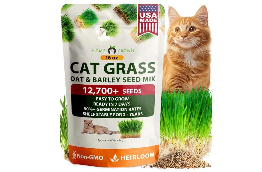 HOME GROWN 𝗨𝗦𝗔 𝗣𝗥𝗘𝗠𝗜𝗨𝗠 1 Pound Cat Grass Seeds for Cat & Kittens Oat & Barley Mix 100% 𝗡𝗢𝗡-𝗚𝗠𝗢 Heirloom, Grow Fresh Kitty Grass for...

