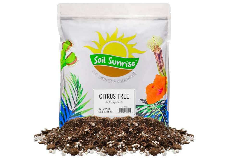 Soil Sunrise Citrus Tree Potting Soil Mix (12 Quarts) Special Blend for Indoor Oranges, Lemons, Limes and More

