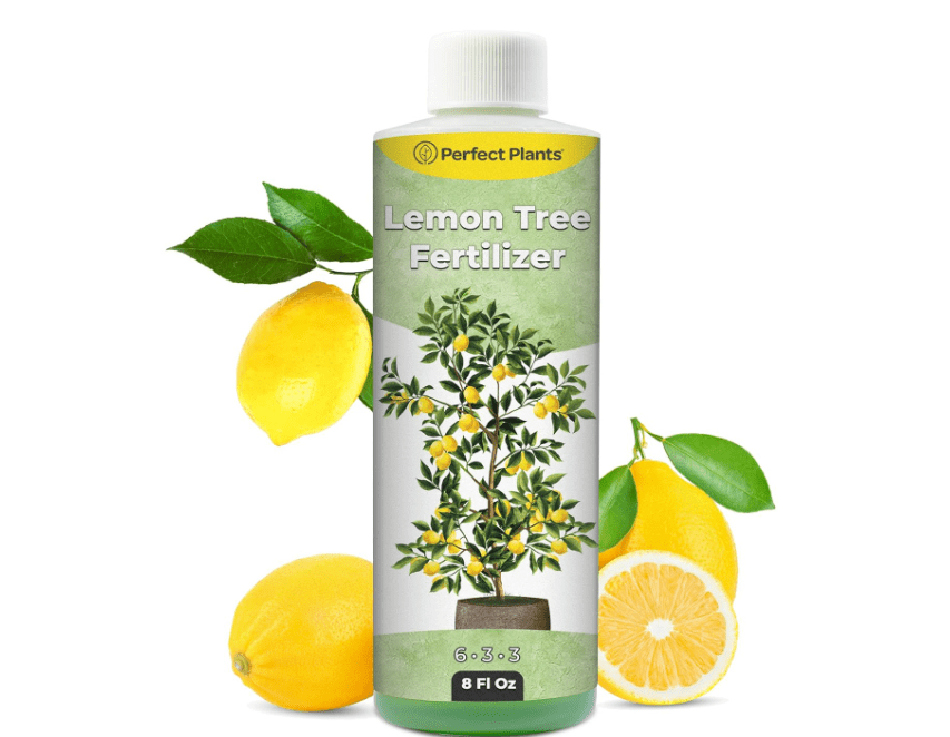 Liquid Lemon Tree Fertilizer by Perfect Plants | Citrus Plant Food for Fast Growth and Happy Live Lemon Trees | 6-3-3 Formula Rich in Nitrogen and Other.