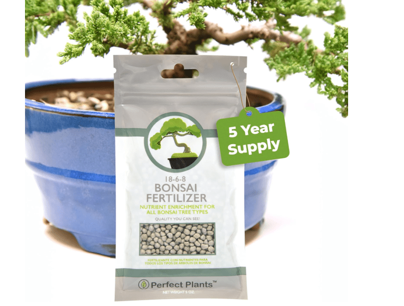 Bonsai Fertilizer Pellets by Perfect Plants - 5 Year Supply - All Natural Slow Release - Extended Enrichment for All Live Bonsai Tree Types