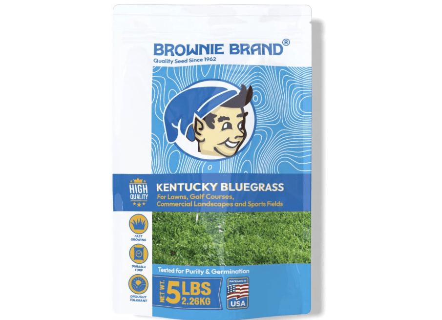 
Brownie Brand Kentucky Bluegrass Seed – Premium Lawn Seed for Overseeding, Repairing Bare Spots, and Growing Thick Cool-Season Bluegrass Grass