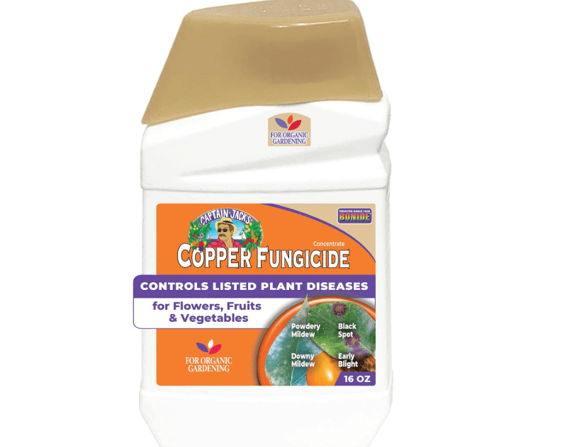 
Bonide Captain Jack Copper Fungicide 16 oz Concentrated Plant Disease Control Solution for Organic Gardening