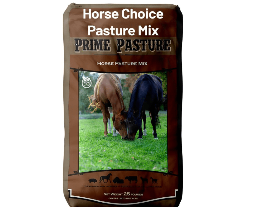 
Outsidepride Horse Choice Pasture & Livestock Grass Seed Mix - 25 Lbs Perennial, Drought Tolerant, Cold Hardy, & High Yield Lawn Grass Seeds for