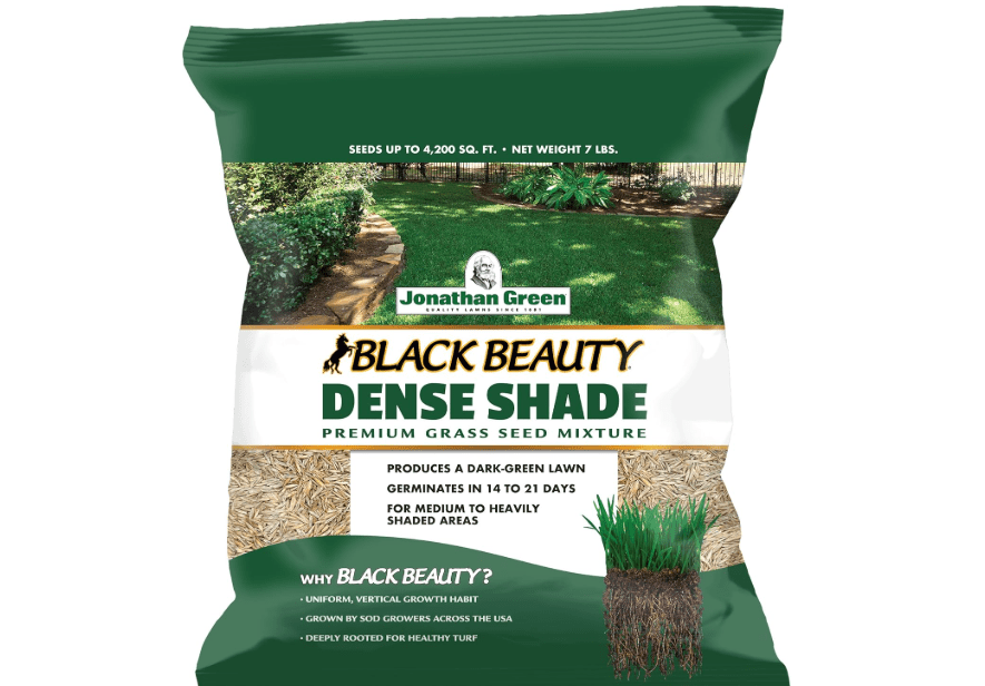 Jonathan Green (10620) Black Beauty Dense Shade Grass Seed - Cool Season Lawn Seed