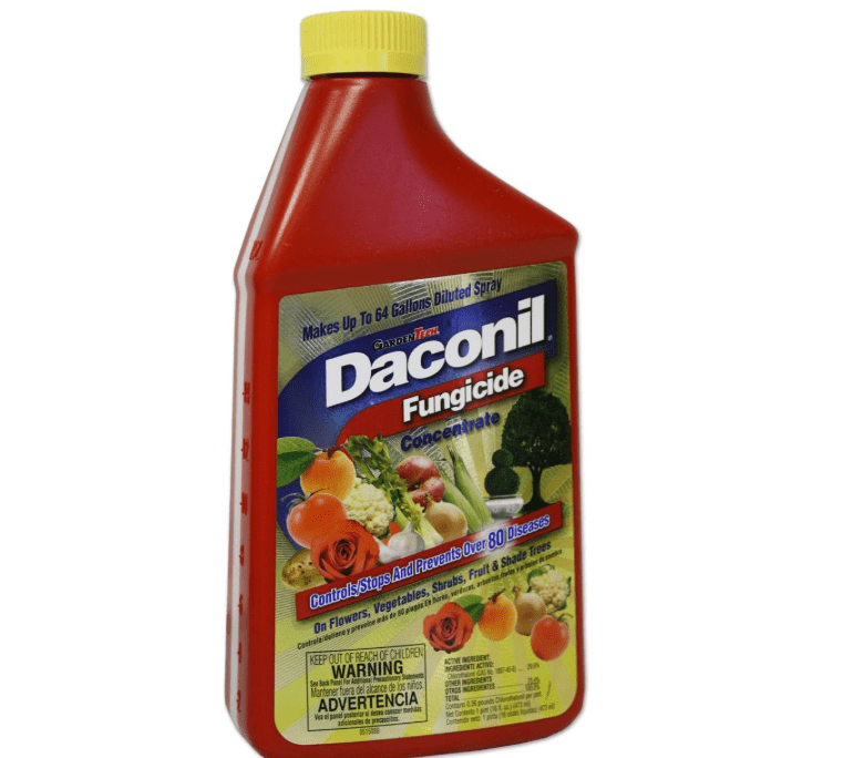 
Daconil® Fungicide Concentrate for Insects 16 oz. - 100523634