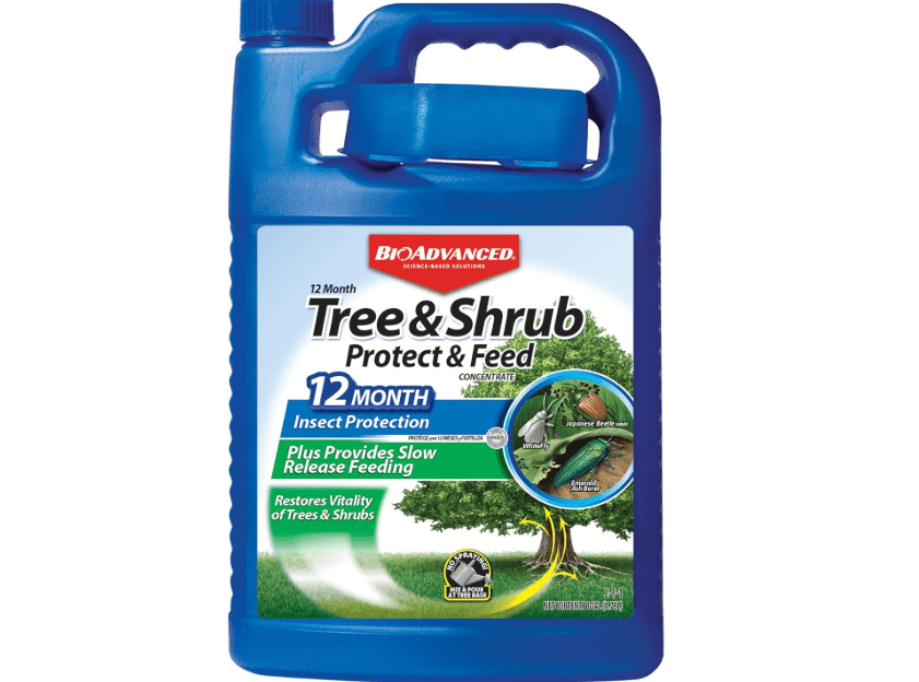 BioAdvanced 12 Month Tree and Shrub Protect and Feed, Concentrate, 1 Gal, Insect Killer and Fertilizer & Plant Food