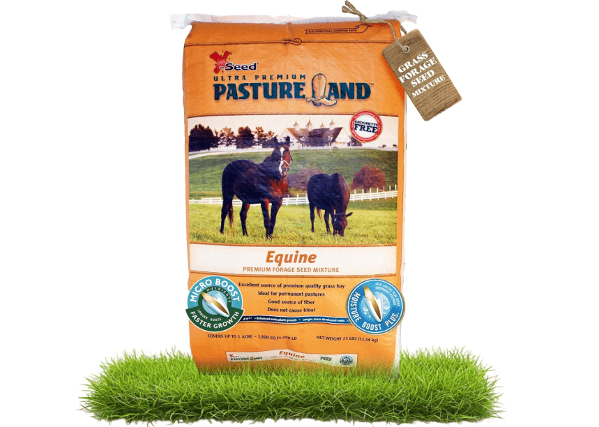 X-Seed Pasture Land Equine Forage Seed Mixture with Micro-Boost – No Mow Pasture Grass with Clover, Ryegrass & Perennial Greens – Recommender for Horse