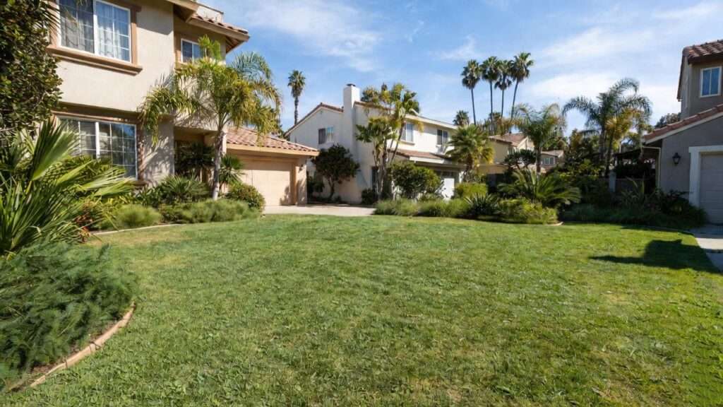 best grass for socal