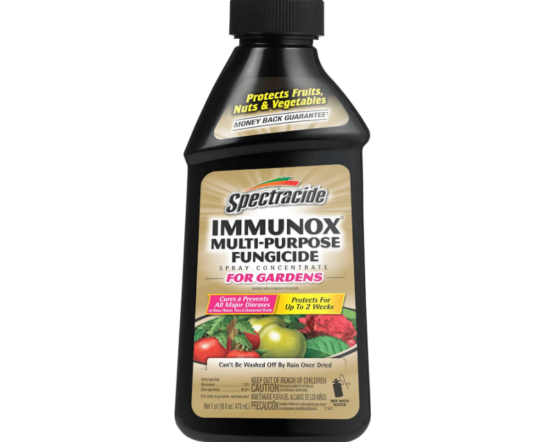 
Spectracide Immunox Multi-Purpose Fungicide Spray Concentrate For Gardens 16 Ounces, Protects Up To 2 Weeks
