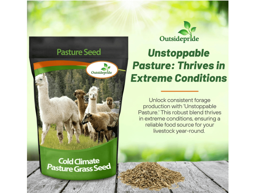 
Outsidepride Horse Cold Climate Grass Seed Mix - 50 lb. Perennial, Drought & Cold Tolerant, Pasture Seeds for Planting Resilient Grass Leaves, Ideal for.