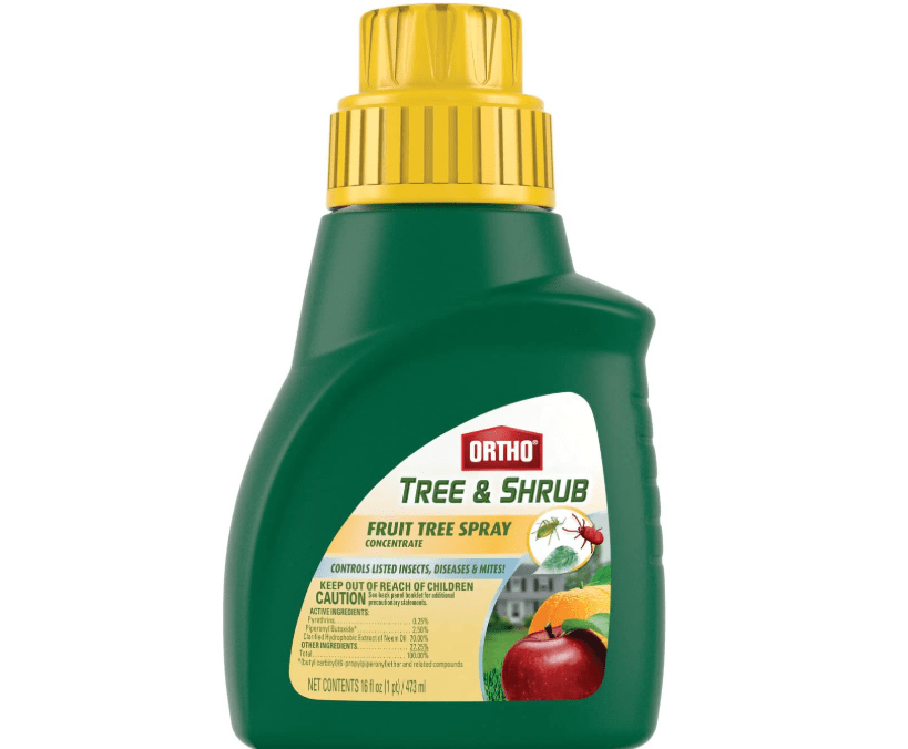 Ortho Tree & Shrub Fruit Tree Spray, 16-Ounce