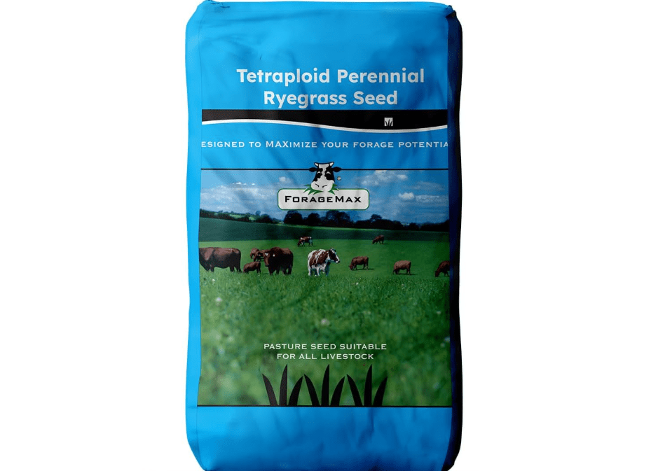 
Outsidepride Ryegrass Seeds - 50 lb. Perennial, Hardy & Fast-Growing, Cover Crop Seeds for Planting Glossy Dark Green Grass Leaves, Ideal for Hay