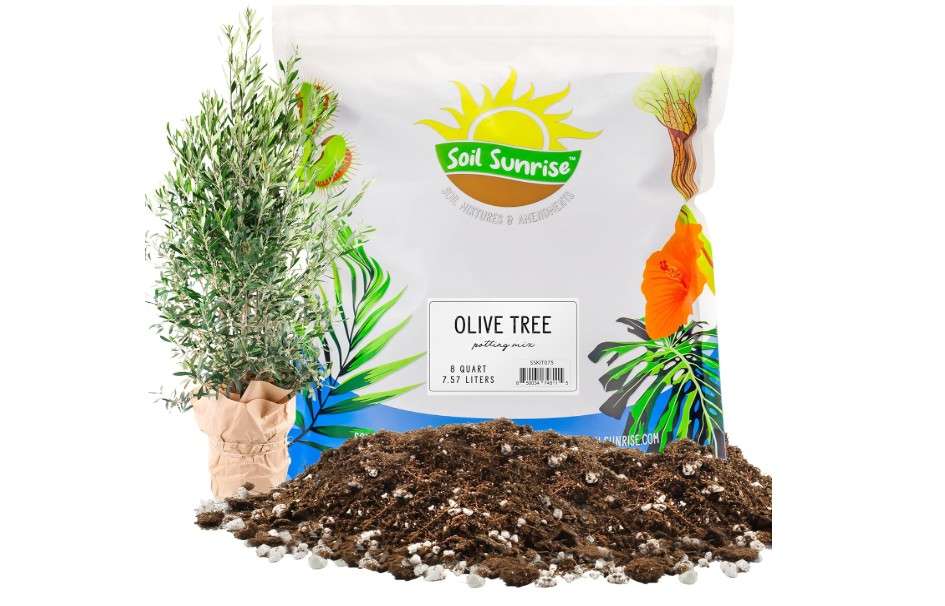 Soil Sunrise Olive Tree Potting Soil Mix (8 Quarts) for Planting, Repotting, and Growing Olive Bushes/Plants
