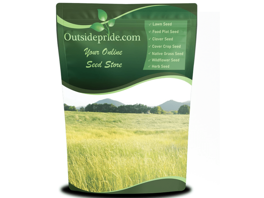 
Outsidepride Teff Grass Seed - 50 lb. Annual, Hardy & Fast Growing, Pasture Seeds for Planting Fine Stemmed Grass Leaves, Ideal for Silage, Hay Foraging